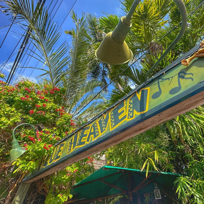 Blue Heaven - Key West attraction