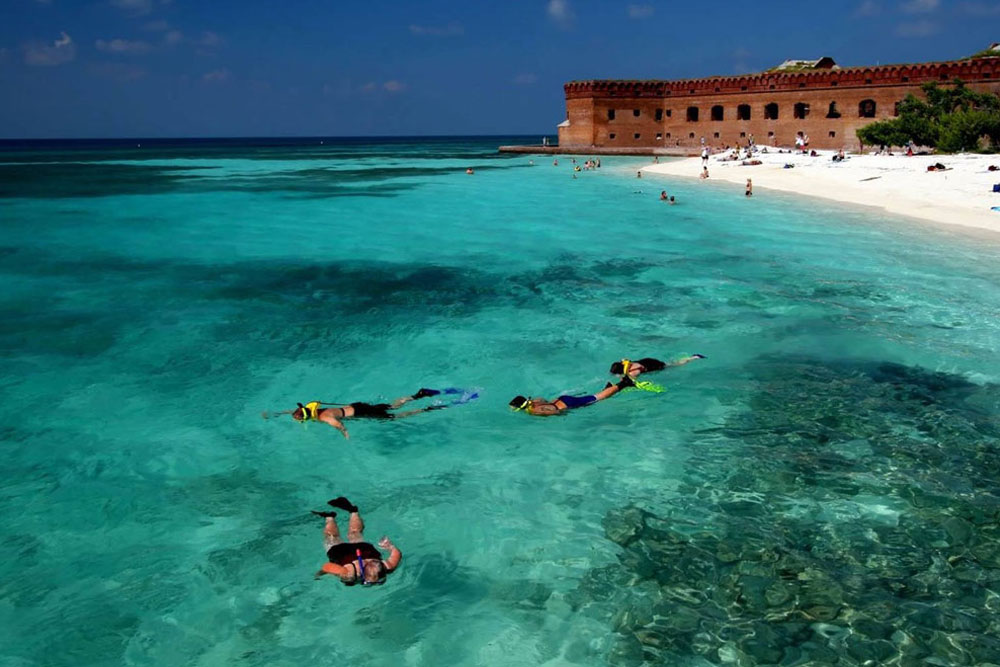 Dry Tortugas Day Trip - Key West attraction